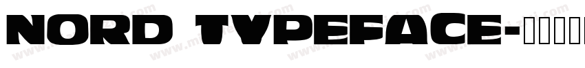 NORD TYPEFACE字体转换